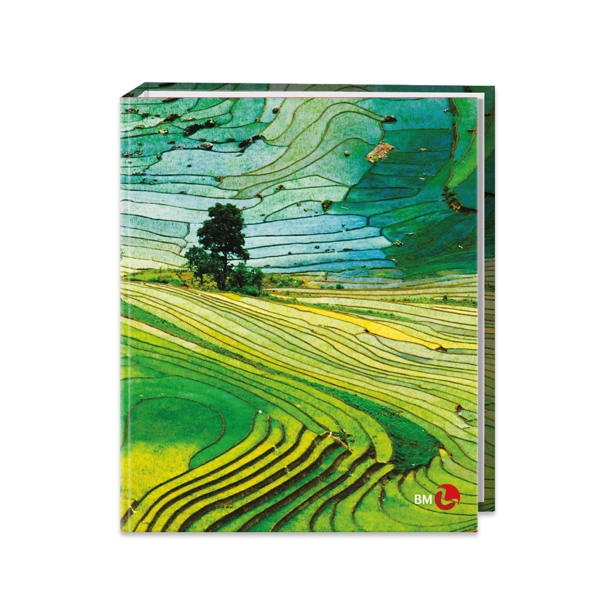 A4 colour ring binders LANDSCAPE - 5 assorted pieces
