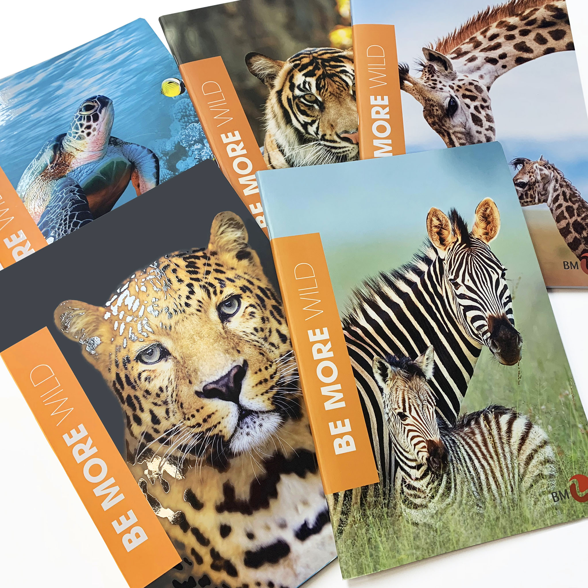 A4 maxi notebooks BE MORE WILD 100 gram- 10 assorted pieces