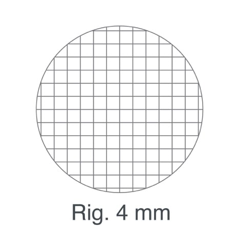 Quaderno a Quadretti 1 cm Elementari senza margine: 100 Pagine Grande  Formato A4