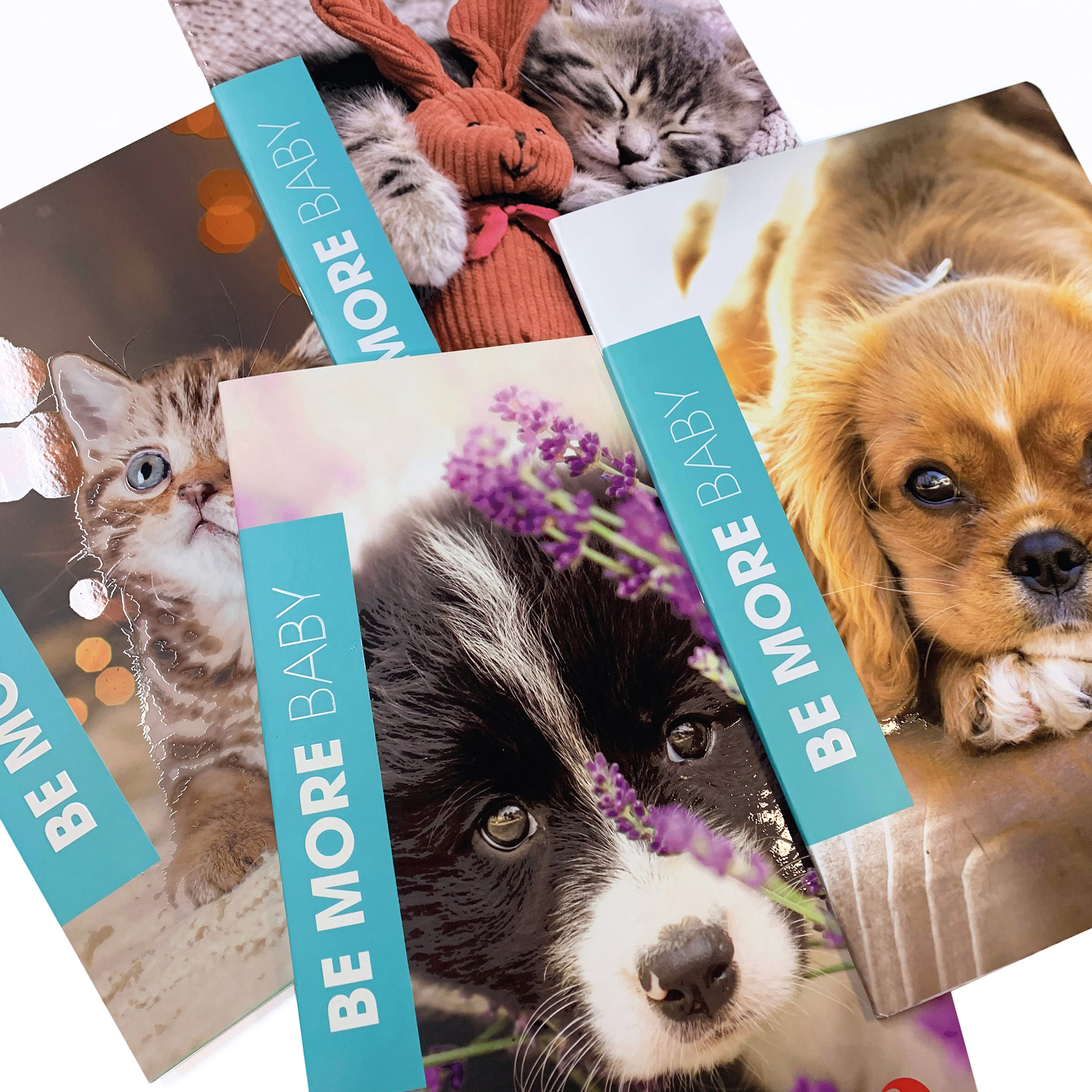 A4 maxi notebooks BE MORE BABY - 10 assorted pieces