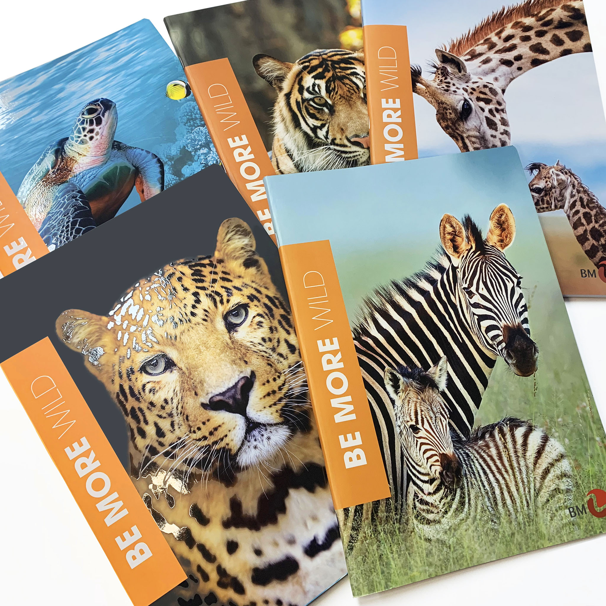 A4 maxi notebooks BE MORE WILD - 10 assorted pieces
