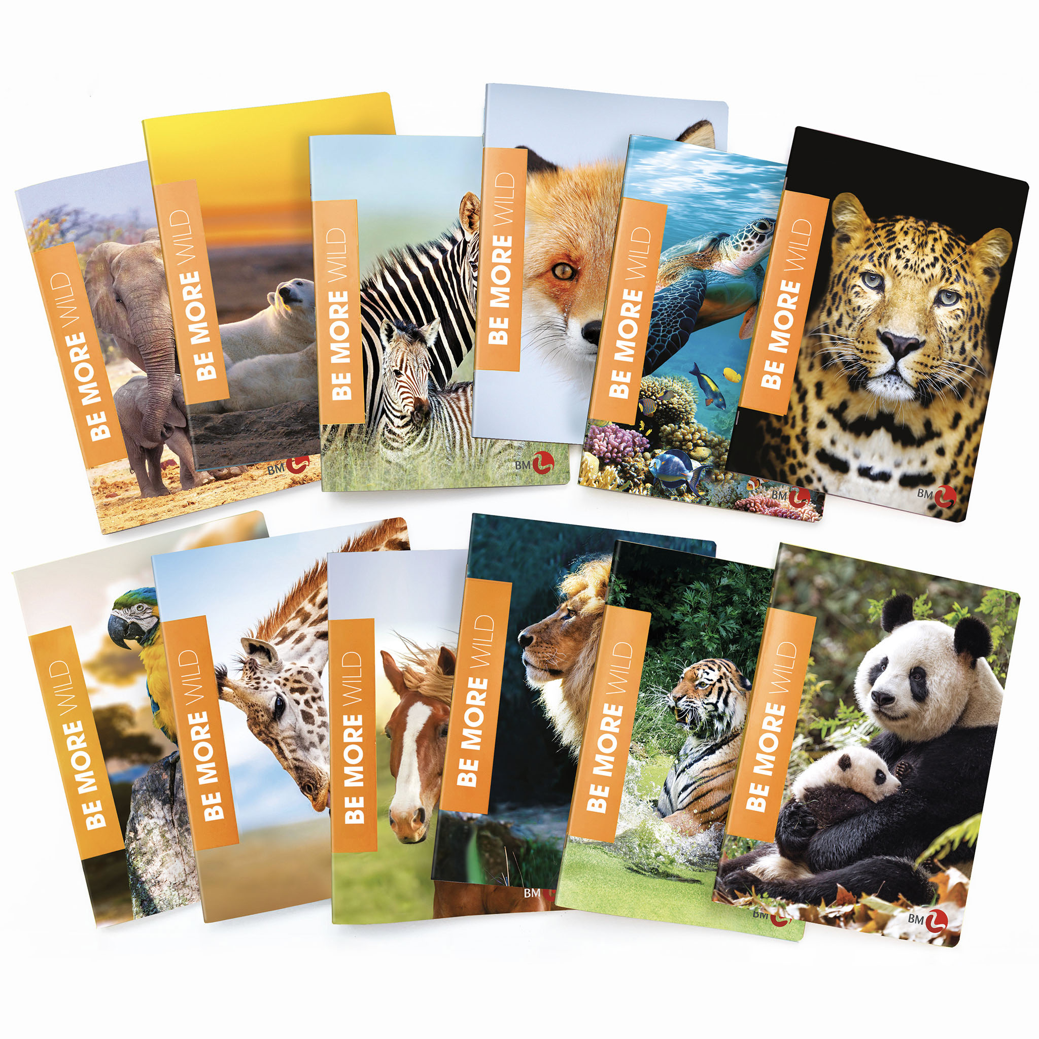 A4 maxi notebooks BE MORE WILD - 10 assorted pieces