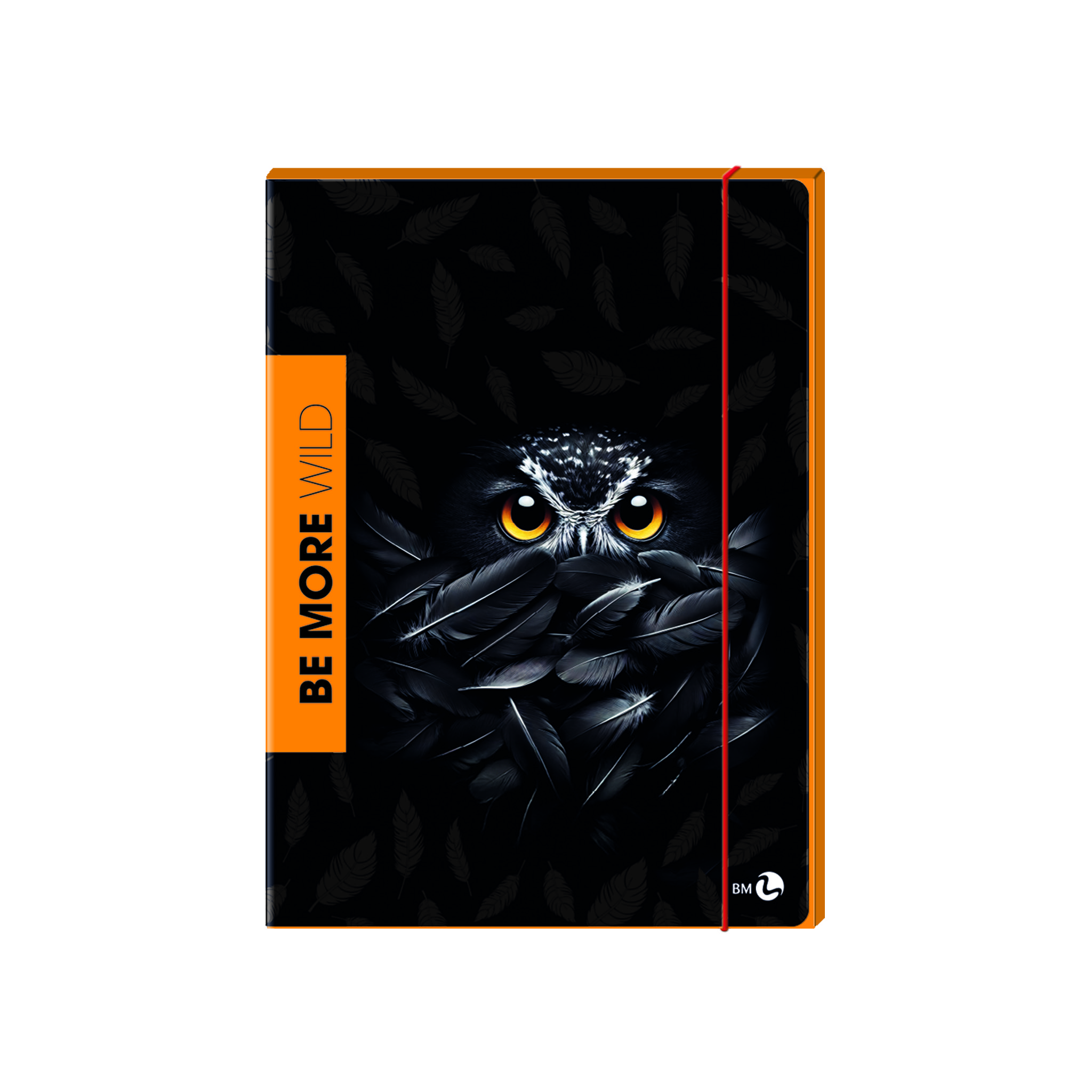 3-flap folders 1cm back with elastic band BE MORE WILD - 6 assorted pieces