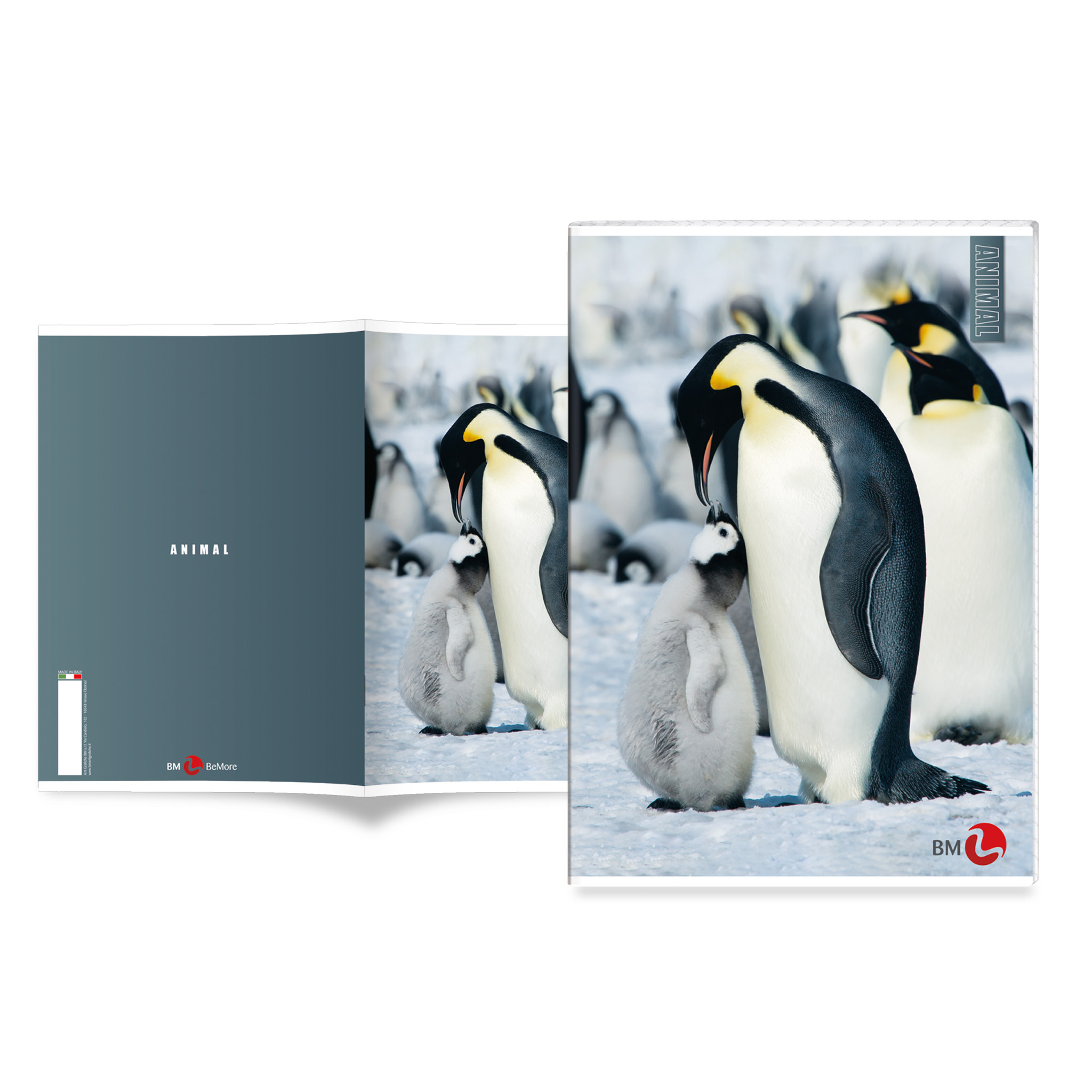 A4 maxi notebooks ANIMAL 80 gram - 10 assorted pieces