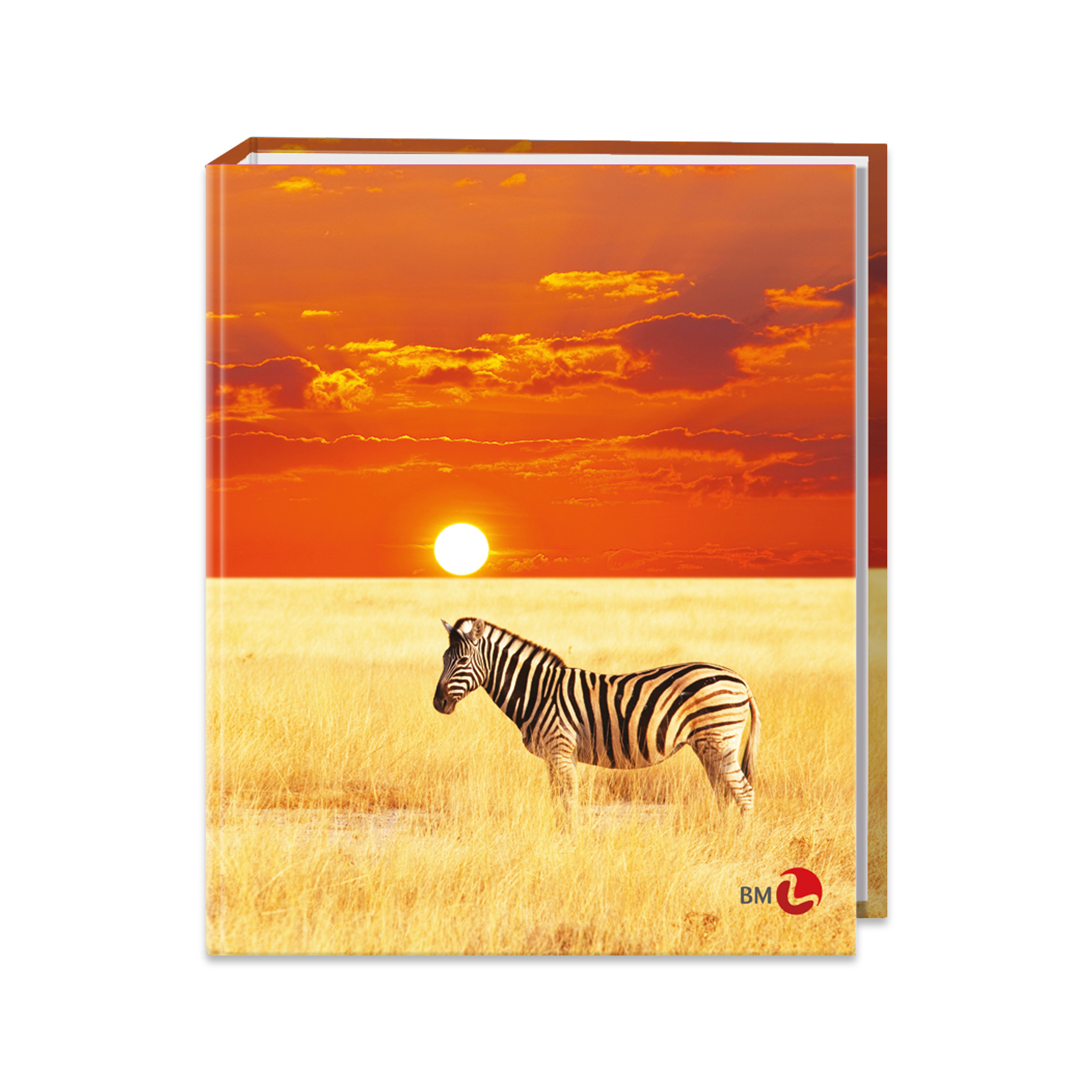 A4 colour ring binders ANIMAL - 5 assorted pieces