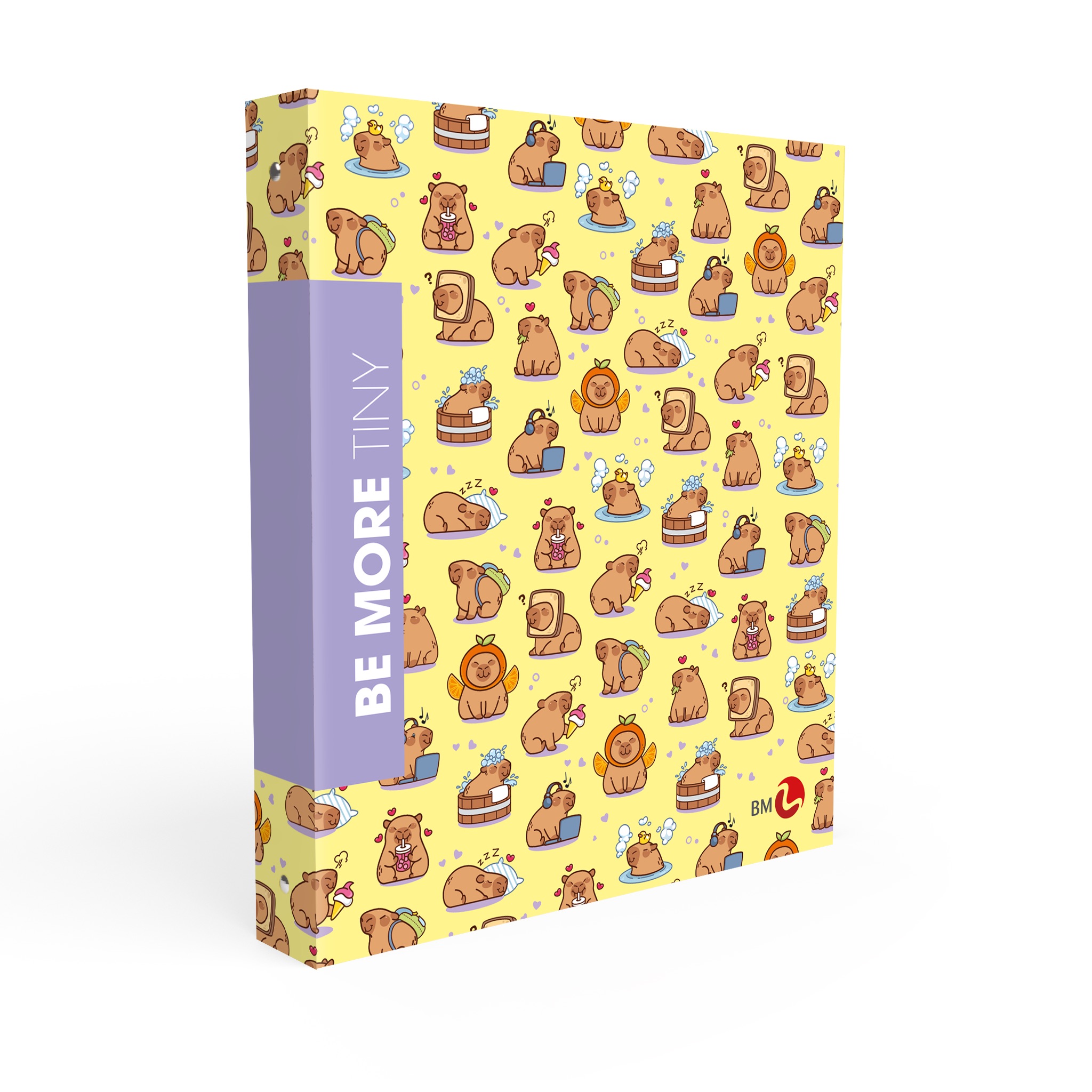 A4 colour ring binders BE MORE TINY - 5 assorted pieces