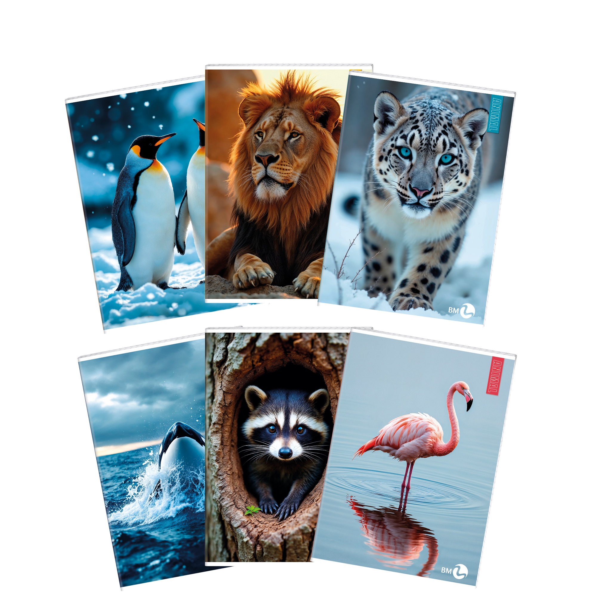 A4 maxi notebooks ANIMAL 80 gram - 10 assorted pieces