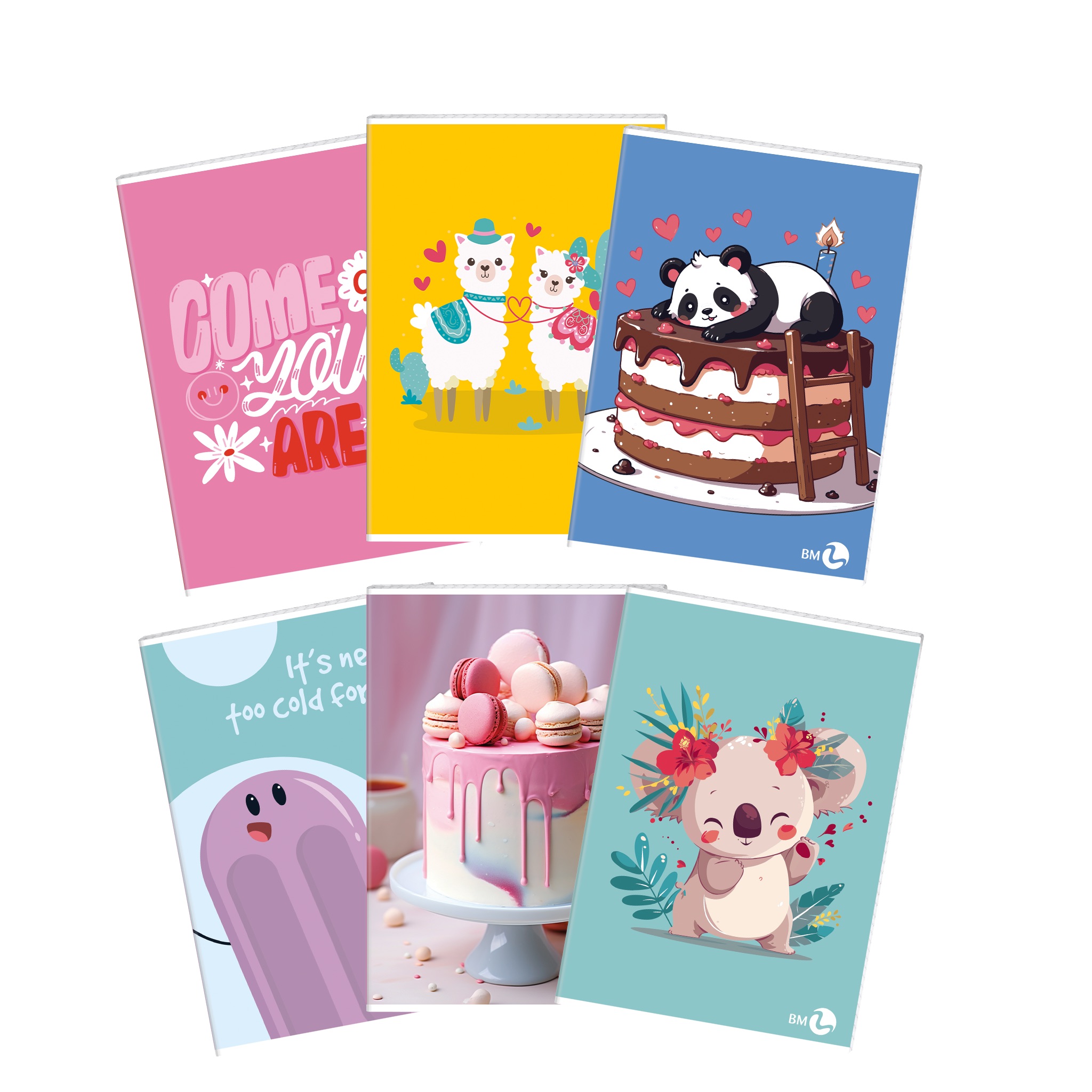 A4 maxi notebooks MIX 2  80 gram - 10 assorted pieces