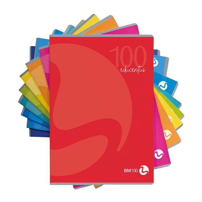 Maxi quaderni A4 EDUCENTUS BM Arti Grafiche con copertine colorate e rigature per scrittura facilitata.